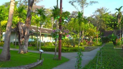 Beautiful Foliage on a Tropical Island. Many Different Flowers and Trees