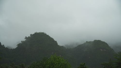 Lush Mountains with Mist and Overcast Sky