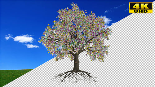 Money Tree with Falling Euro Banknotes on Alpha Channel