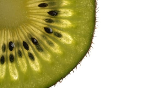 Bright Close Up of Kiwi Fruit Slice