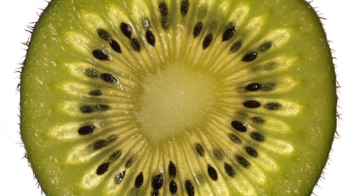 Close Up of Vibrant Green Kiwi Fruit Slice