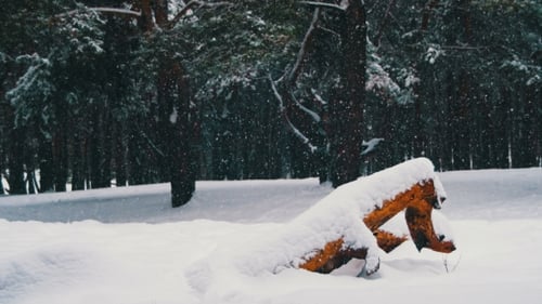 Schneefall-Hintergrund im Winter Kiefernwald mit verschneiten Weihnachtsbäumen