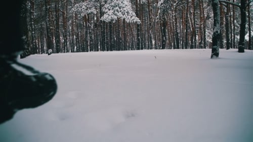 Man Walking in the Deep Snow in the Winter Forest at Snowy Day.