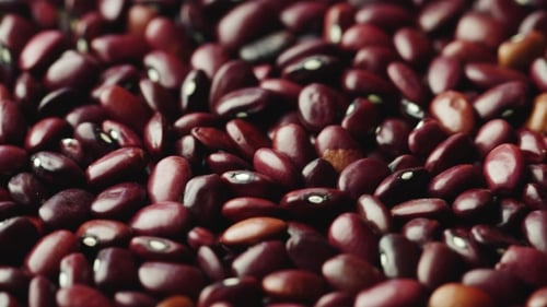 Close-up of Fresh, Red Kidney Beans