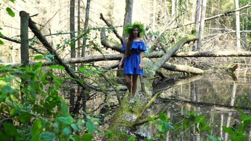 Woman in Blue Dress on Fallen Tree