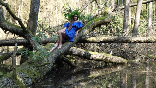 Woman in Blue Dress Sitting on Mossy Tree