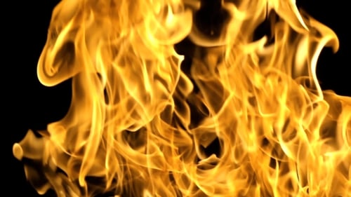 Golden Flames Dancing on Black Background