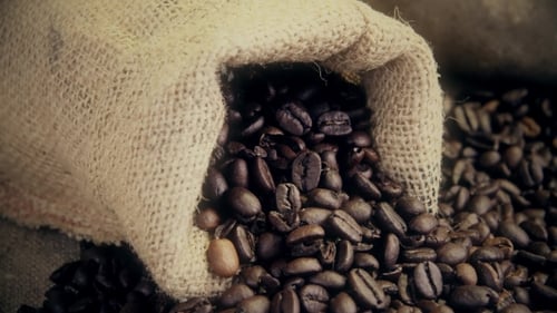 Roasted Coffee Beans Spilling From Burlap Sack