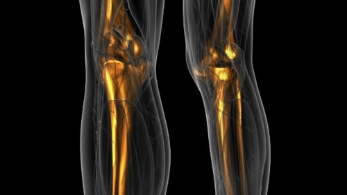 Animated X-Ray Scan of Glowing Human Bones