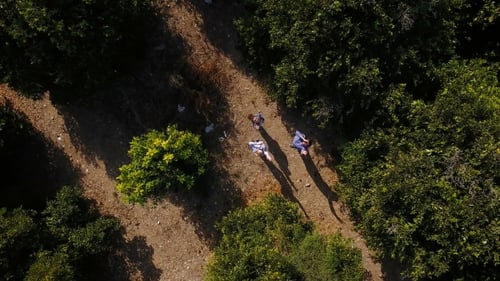 Tres personas entre árboles agitando las manos en cámara