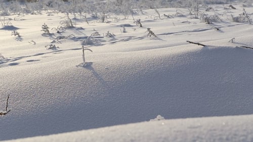 Wunderschönes schneebedecktes Land