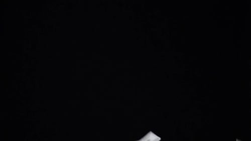 Money Falling on Black Background