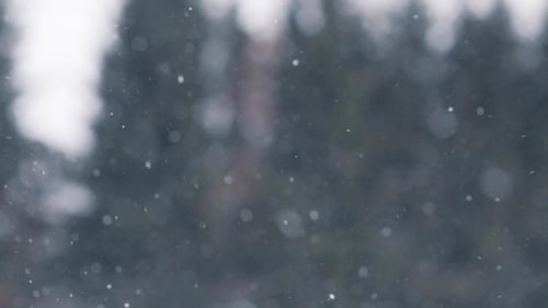 Schnee oder Schneefall im Freien im Winter 1