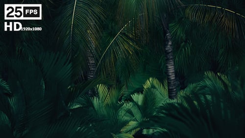 The Palms 8