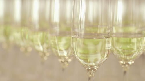 Champagne Flutes Filled with Bubbly for Celebrations