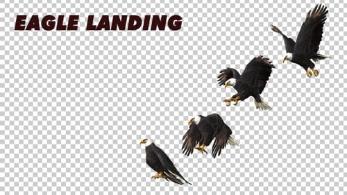 Adler-Landung