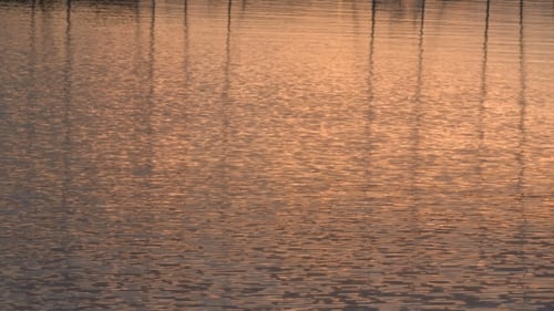Sonnenspiegelungen vor dem Seewasser