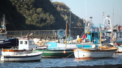 Old Ships in the Bay