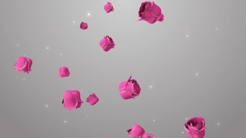 Animation von rosa Rosen auf dem schönen Hintergrund