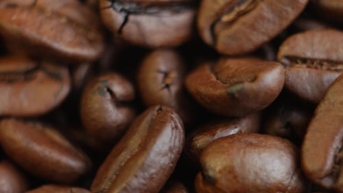 Close Up of Roasted Coffee Beans