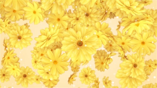 Bright Yellow Flowers Falling and Spinning