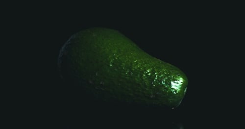 Avocado Fruit Rotating on Black Background