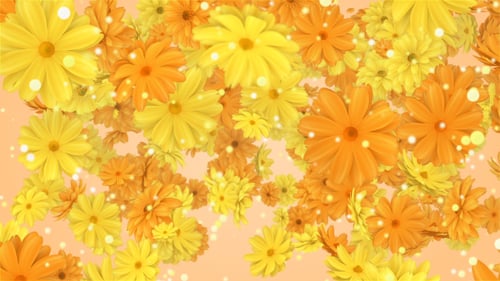 Floating Orange and Yellow Daisy Flowers Animated Background