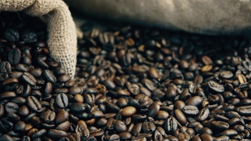 Close Up of Roasted Coffee Beans Spilled