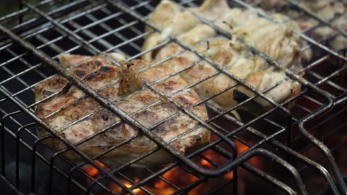 Grilled Meat on the Flaming Grill