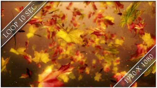 Flight Autumn Leaves 1
