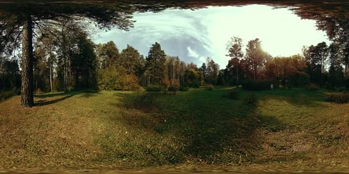 Realidad virtual UHD 360 VR de un área recreativa de un parque urbano. Árboles y hierba verde en otoño o verano