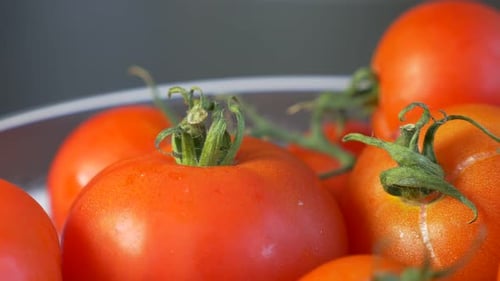 Fresh Tomatoes with Stems in a Bowl
