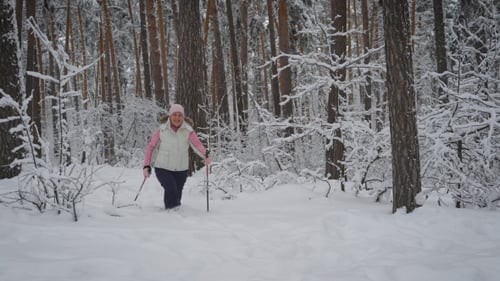Elderly Woman Dressed in Warm Sportswear Is Engaged in Nordic Walking in the Snowy Woods in the