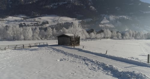 Shed on Snowy Field