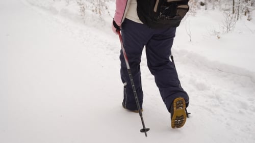 Hiker with Poles Walking through Snowy Forest