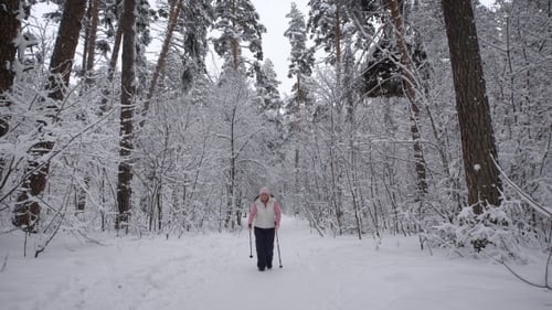 Wood. Day Winter Forest. The Elderly Woman on Walk. The Aged Is Engaged in the Health. The Pensione