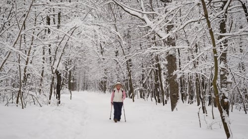 Senior Woman Walking with Ski Poles in Snowy Forest