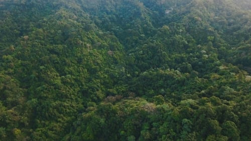 Mountains with Tropical Forest. Philippines Catanduanes Island.