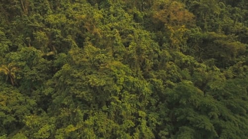 Mountains with Tropical Forest. Philippines Catanduanes Island.