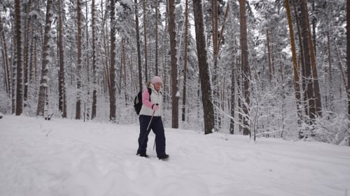 The Woman Aged with a Black Backpack on Shoulders Goes Footpath of the Winter Forest. The Elderly