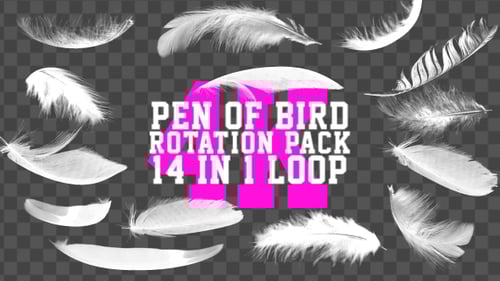 Natural White Feather Rotation Pack with Alpha Channel