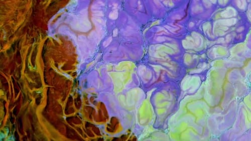 Abstract Bright Colours Paint Spreading Texture