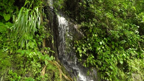 Beautiful Tropical Waterfall. Philippines Cebu Island.