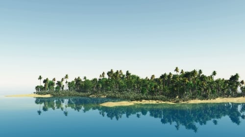 Tropical Island with Palms