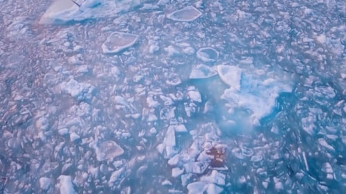 Seagulls Hover in the Sky Over the Frozen Ocean at Sunset. .Droneshot