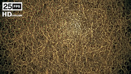 Valentine Classic 02