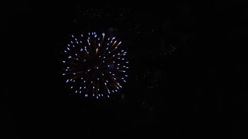 Fireworks in the Sky on Black Background