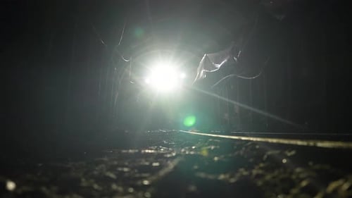 People Walking in Dark Underground Tunnel with Lights