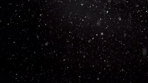 Snowing in Cold Winter, Real Snow on Black Background