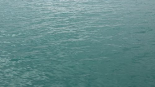 Vea las ondas de movimiento en el agua